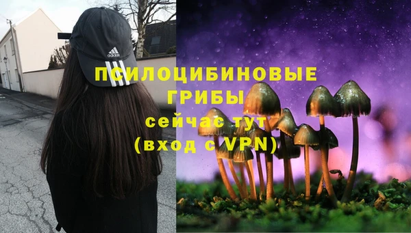 ГАЛЛЮЦИНОГЕННЫЕ ГРИБЫ Балахна