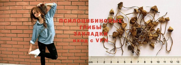 ГАЛЛЮЦИНОГЕННЫЕ ГРИБЫ Балахна