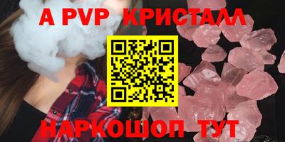 мдпв Кингисепп