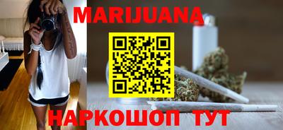 мдпв Кингисепп