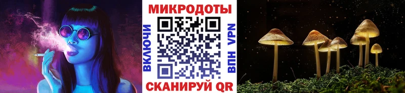 Галлюциногенные грибы Magic Shrooms  где продают   кракен ссылки  Ессентуки 