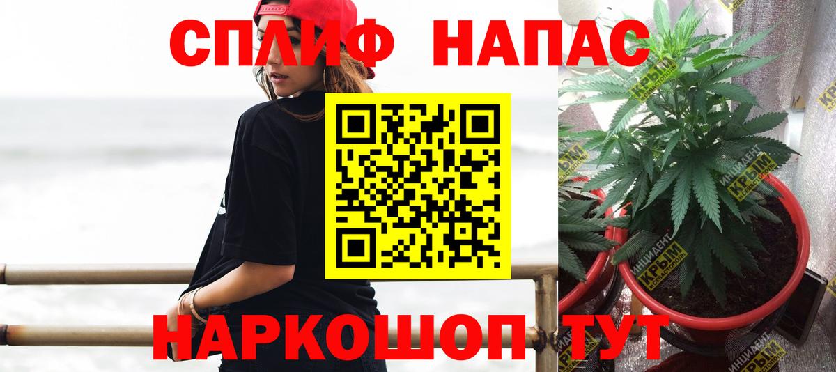 Конопля гибрид Ессентуки